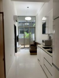 Loft @ Stevens (D10), Apartment #456927851